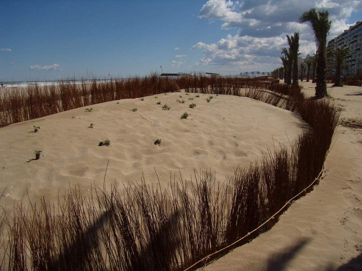 Beach & Port Gandia Bagian luar foto
