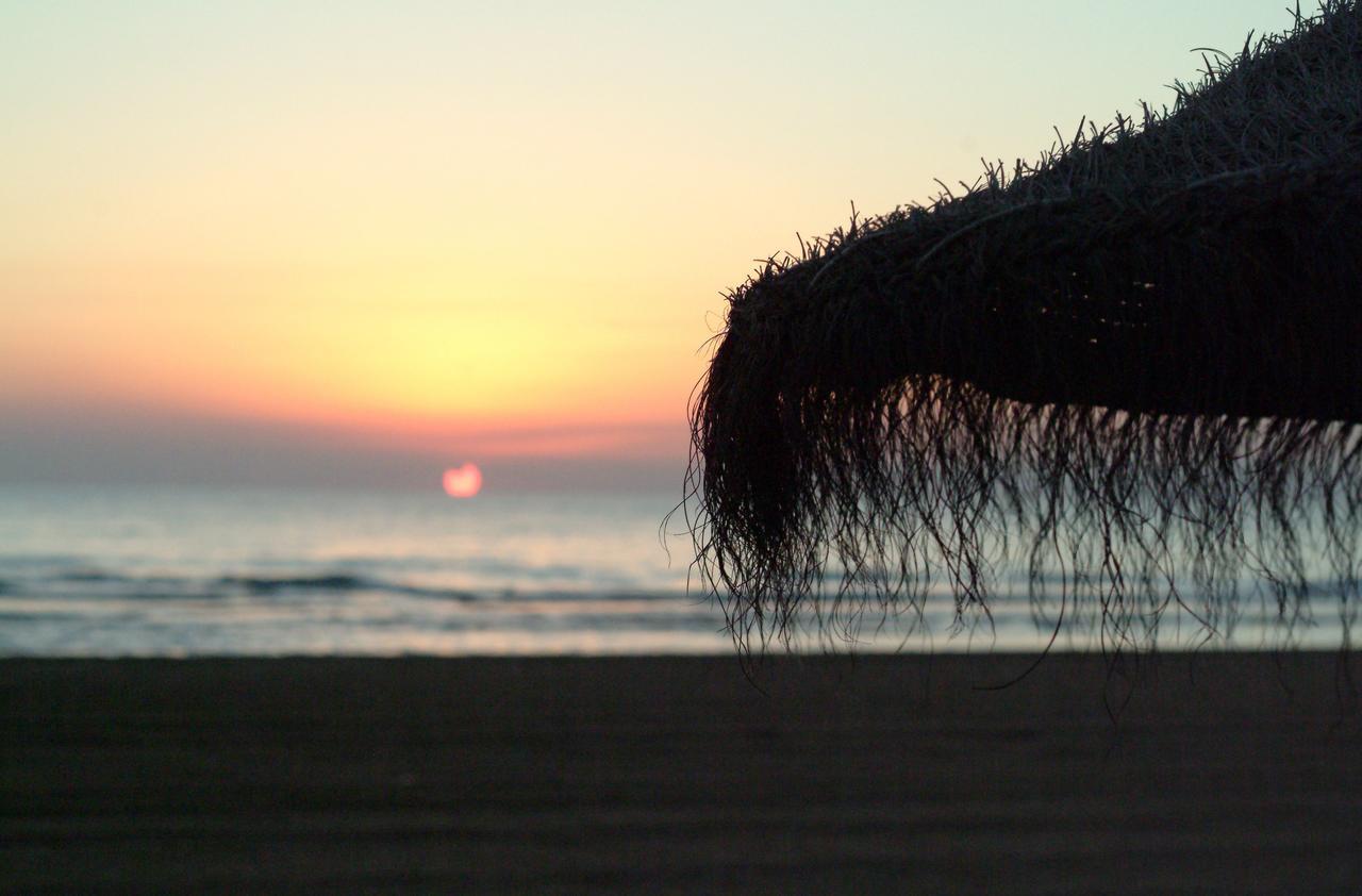 Beach & Port Gandia Bagian luar foto
